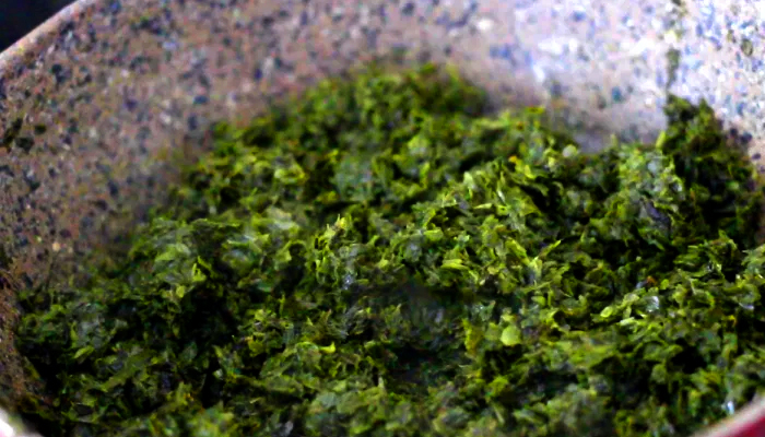 روش تهیه خورشت قرمه سبزی در سولاردام ال جی