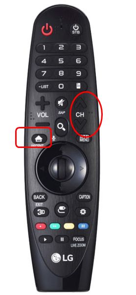 Home & Channel button