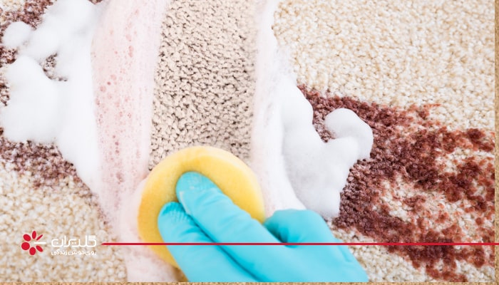نکات مهم در پاک کردن لکه فرش